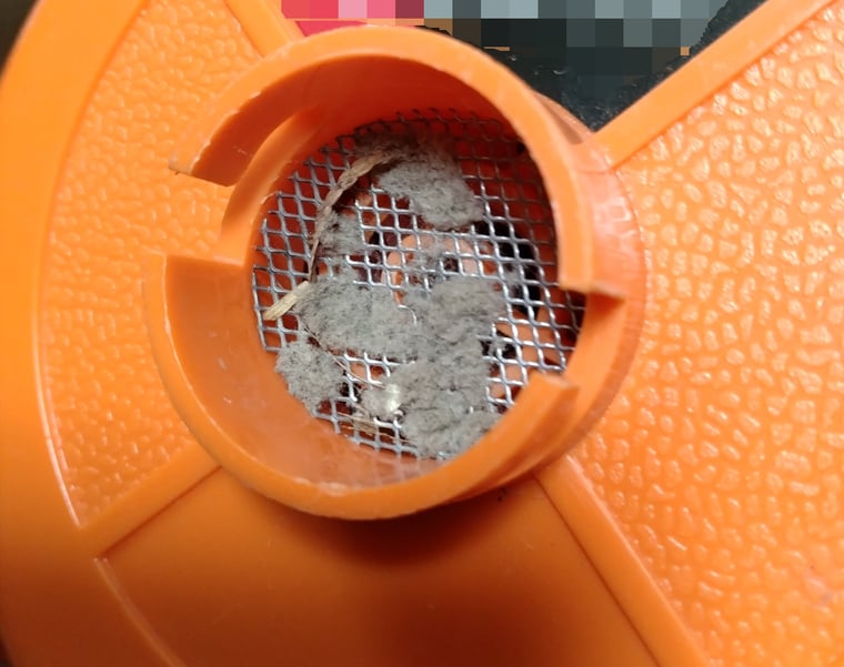 写真3　集塵機能で集まったヒートシンクのほこり（一部、車の掃除の際に吸い込んだ小さな枯れ葉が紛れています）