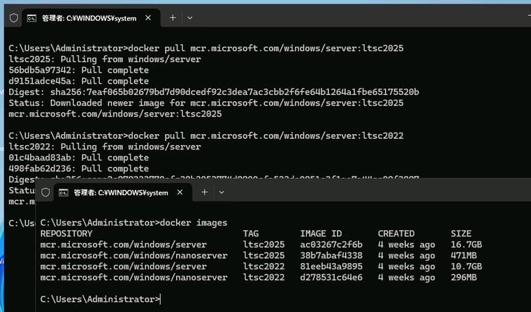 画面7　Windows Serverのイメージはサイズが大きすぎて、軽量でコンパクトとはとても言えない