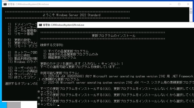 画面2　Windows Server 2022以降の日本語版では、ローカライズの問題により、個別インストール機能が利用できない状態