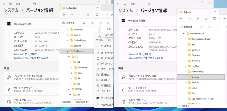  画面1　Windows Server 2025の2025-09 Bの更新プログラムにより、古いOSをサポートするためのバイナリなどを含むWSUSの「SelfUpdate」フォルダーが削除された