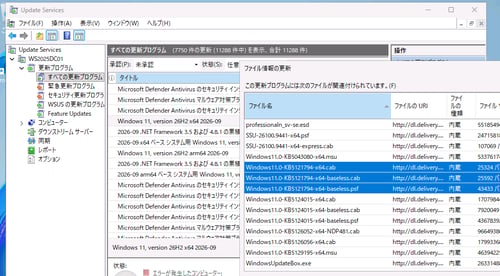 wsus