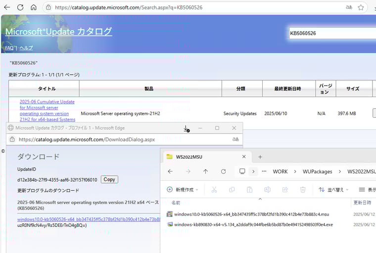 画面3　インターネットアクセスが可能なデバイスで更新プログラムをダウンロードし、共有フォルダーに配置しておく