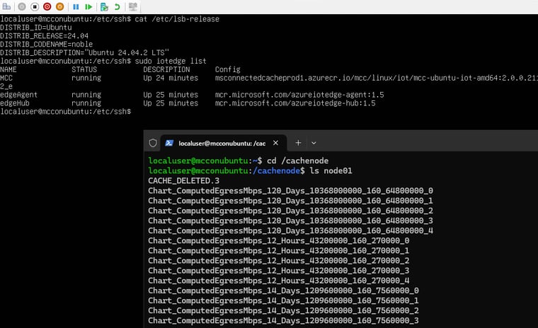 画面10　Linuxキャッシュノードで実行されるMMCコンテナーとAzure IoT関連コンテナー