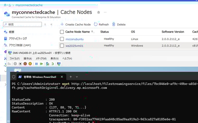 画面7　Windowsキャッシュノードの展開が成功し、正常に動作していることを確認する