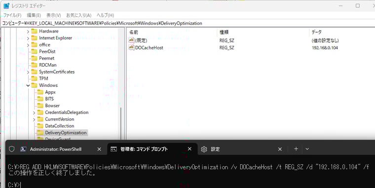 画面3　REGコマンドを使用して、「DOCacheHost」値にLinuxまたはWindowsキャッシュノードのIPアドレスまたはFQDNを指定する