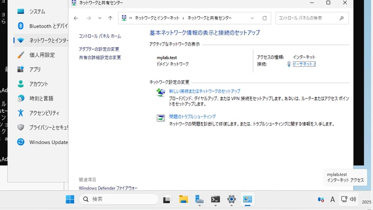 画面4 Active Directoryドメインのドメインコントローラーやドメインメンバーのネットワークカテゴリは「ドメイン(DomainAuthenticated)」が正常