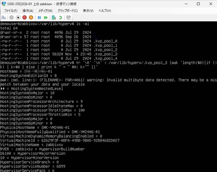 画面4　LinuxゲストでKVPからHyper-Vホストの情報を取得する