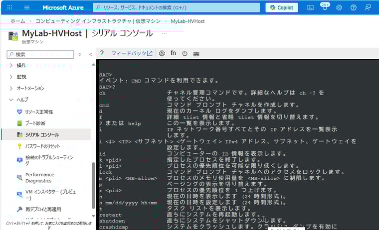画面1　Windows Serverを実行するAzure VMのシリアルコンソール。EMSのSACに対話的に接続可能