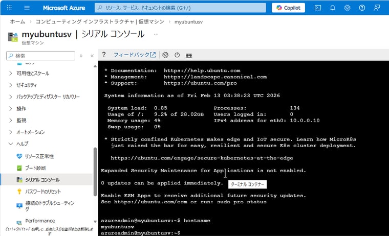画面2　Linuxゲストを実行するAzure VMのシリアルコンソール。Linuxの標準的なシリアルコンソール（ttyS0）に対話的に接続可能
