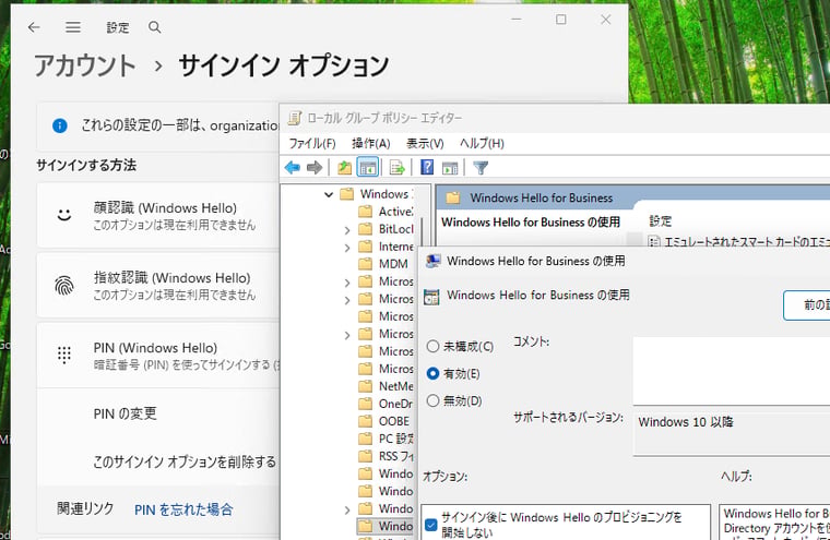 pinsetup