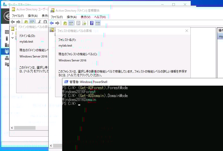 画面1　フォレストとドメインの機能レベルが「Windows Server 2016」であることを確認する