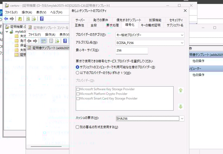 画面7　「暗号化」タブで「キー格納プロバイダー」「ECDSA_P256」「256」「サブジェクトのコンピューターで利用可能な任意のプロバイダー」「SHA256」を選択する