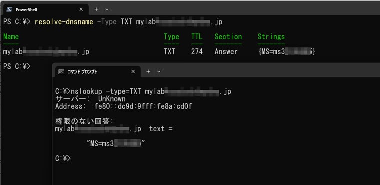 画面3　TXTレコードを管理するDNSドメインに追加したら、検索できることを確認する